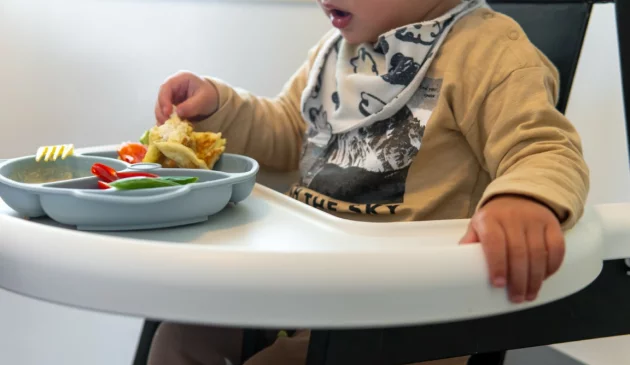 Toddler in dinosaur bib self-feeding vegetables and mashed food from divided plate in high chair at mealtime at home