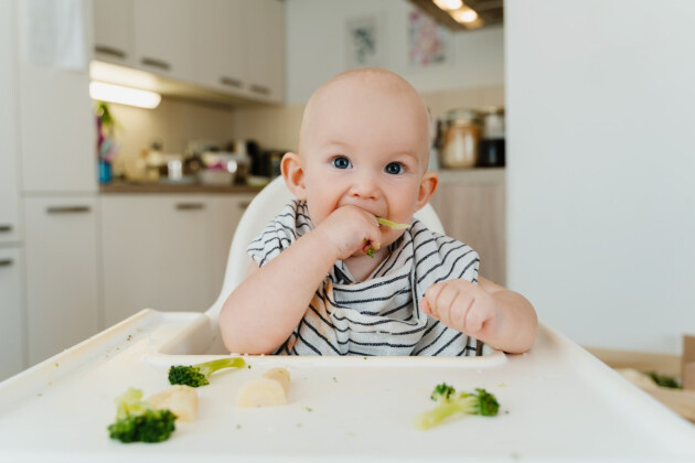 Blue-eyed baby in striped shirt trying broccoli floret while sitting in white high chair during weaning in home kitchen