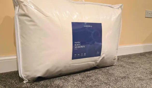 A picture of Soak & Sleep's soft as down pillows in their carry case