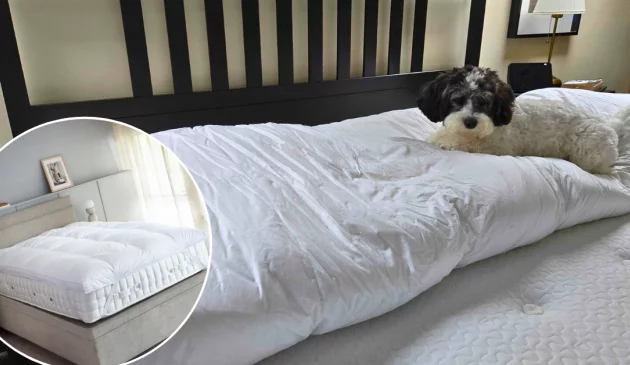 Rebecca Roberts tests the Soak & Sleep Goose Down Dual Chamber mattress topper