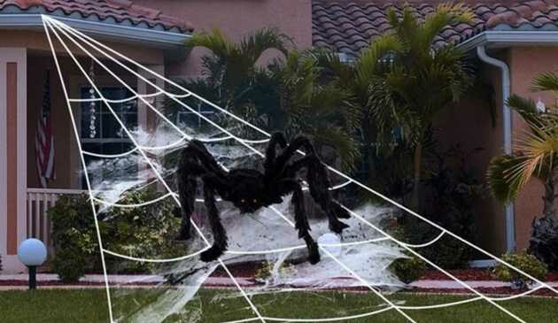 Spider decoration