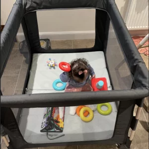 Maxi Cosi Swift travel cot in testing with baby