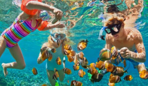 A family snorkelling underwater