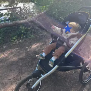 Child sat in Thule Glide 3 in woodland area