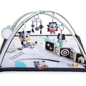 Tiny Love Gymini 2-in-1 play mat