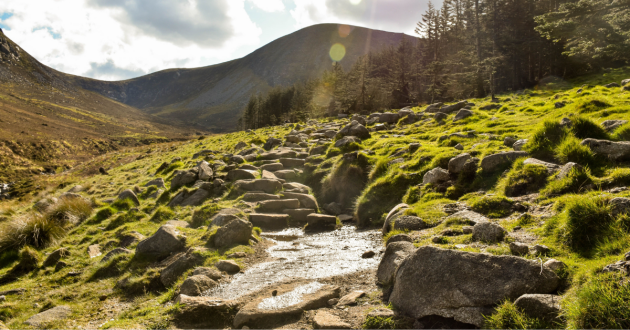 Tollymore River Trail