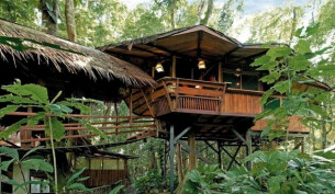 Tree House Lodge, Costa Rica