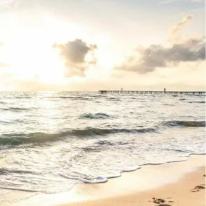 TUI BLUE Alcudia Pins beach
