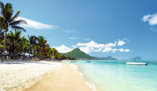 A white sand beach and palm trees on the island of Mauritius