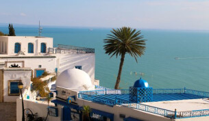 White building with a white dome and royal blue accents and royal blue dome nestled by a single, tall palm tree overlooking the sea