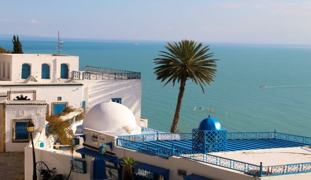 White building with a white dome and royal blue accents and royal blue dome nestled by a single, tall palm tree overlooking the sea