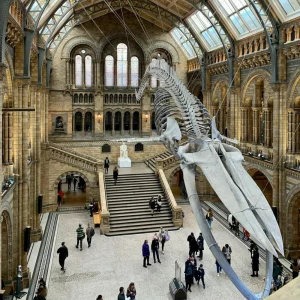 Natural History Museum foyer London