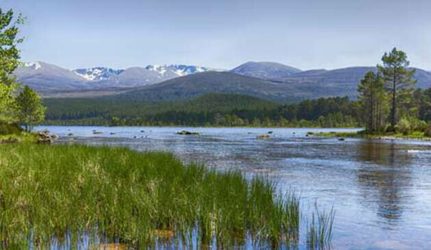 Aviemore scenery