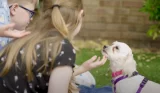 The Evans family and their dog adoption story
