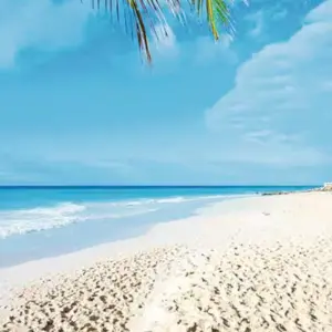 Turtle Bay resort beach