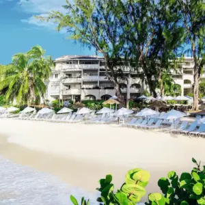 Bougainvillea Barbados beach