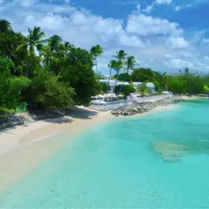 Cobblers Cove beach aerial view