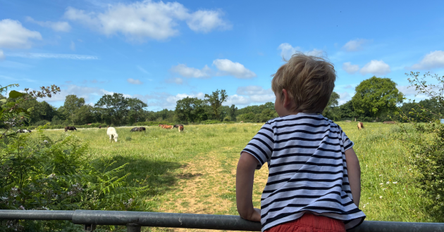 Eurocamp Domaine des Ormes review image cow field