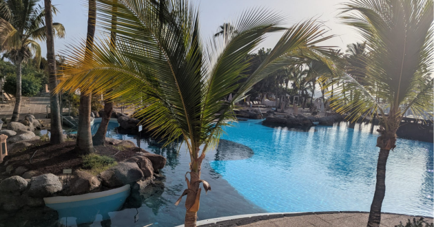 Hotel Bahia del Duque review image showing pool and palm trees