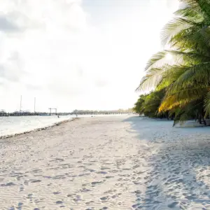 White sandy beach and palm trees in Mexico