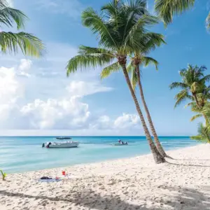 White sandy beach and palm trees in Dominican Republic