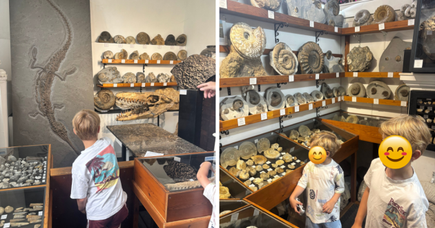 The Orangery holiday cottage review real image fossil and dinosaur museum