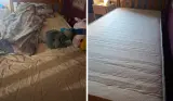 Coolflex Kids Hybrid Mattress review image showing mattress on bed and child sleeping