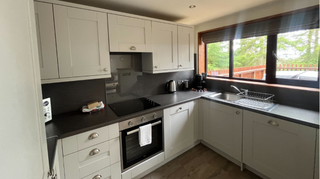 White Willow Premium Valley View Cabin kitchen