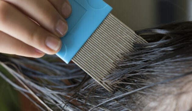 Woman combing child's hair