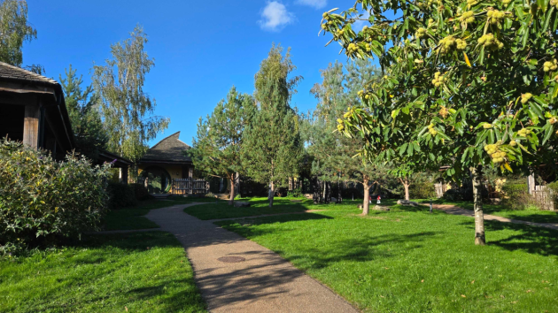 A sunny day overlooking the Woodland Lodges at Alton Towers