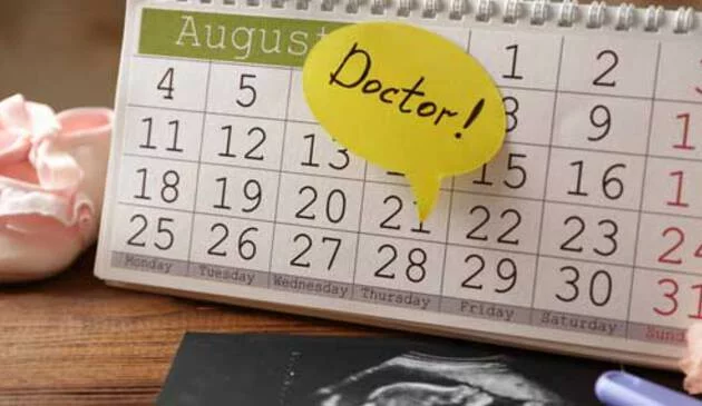 Pregnancy calendar