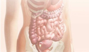 Pregnancy calendar week 11