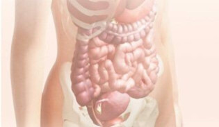 Pregnancy calendar 12 weeks