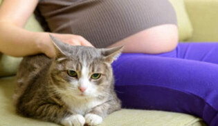 Pregnant woman with cat