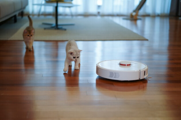 Two white cats looking at a white robot vacuum cleaner as it moves across a wooden floor